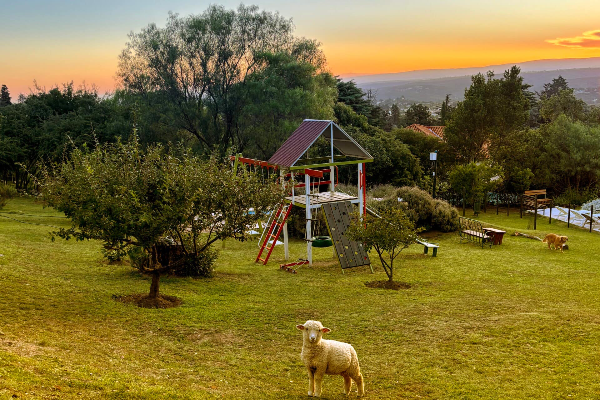 complejo-cabanas-parque-atardecer-con-oveja